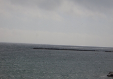 pict011