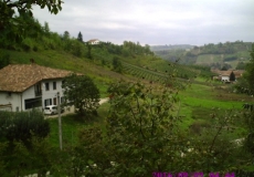 DIGITAL CAMERA