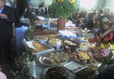 Photo-0052