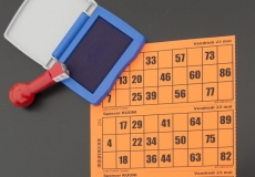 GMV2014_Loto_012
