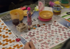 GMV2014_Loto_023