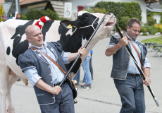 GMV2014_Cortege_006