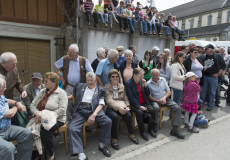 GMV2014_Cortege_033