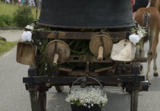 GMV2014_Cortege_037