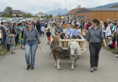 GMV2014_Cortege_096