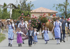 GMV2014_Cortege_114