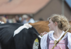 GMV2014_Cortege_118