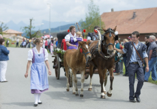 GMV2014_Cortege_119