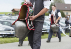 GMV2014_Cortege_174