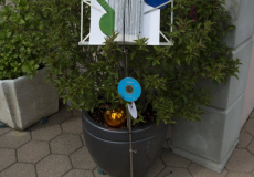GMV2014_Decorations_047