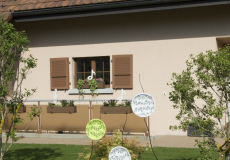GMV2014_Decorations_064