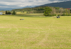 GMV2014_Sur-le-vif_003