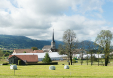 GMV2014_Sur-le-vif_014