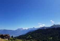 IMG-20190826-WA0003